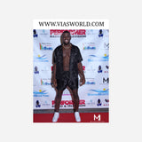 Silk Shorts/Button Up Set
